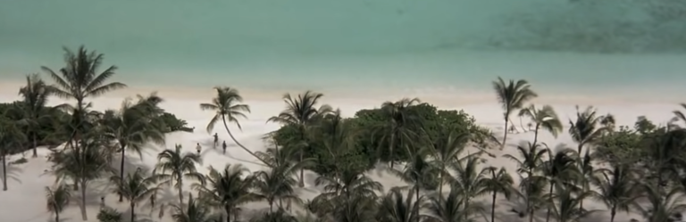 Screenshot 2024 01 23 at 1.18.16 AM 768x249